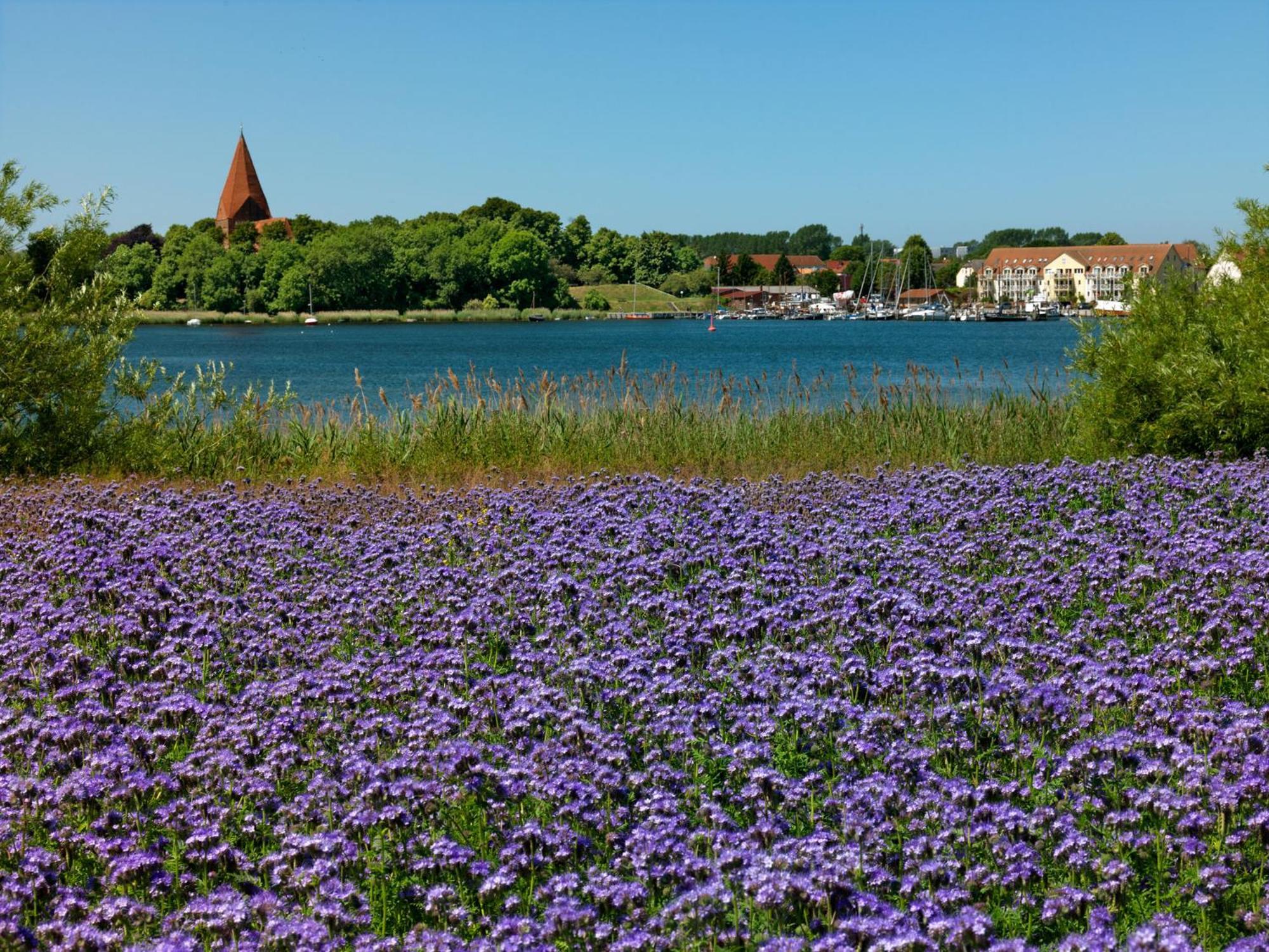 Einhusen Gute Stube Apartment Insel Poel Luaran gambar
